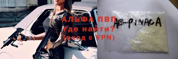 шишки Хадыженск