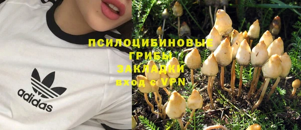прущая мука Усмань