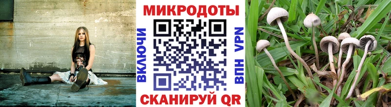 Галлюциногенные грибы мицелий  купить наркотик  Грайворон 